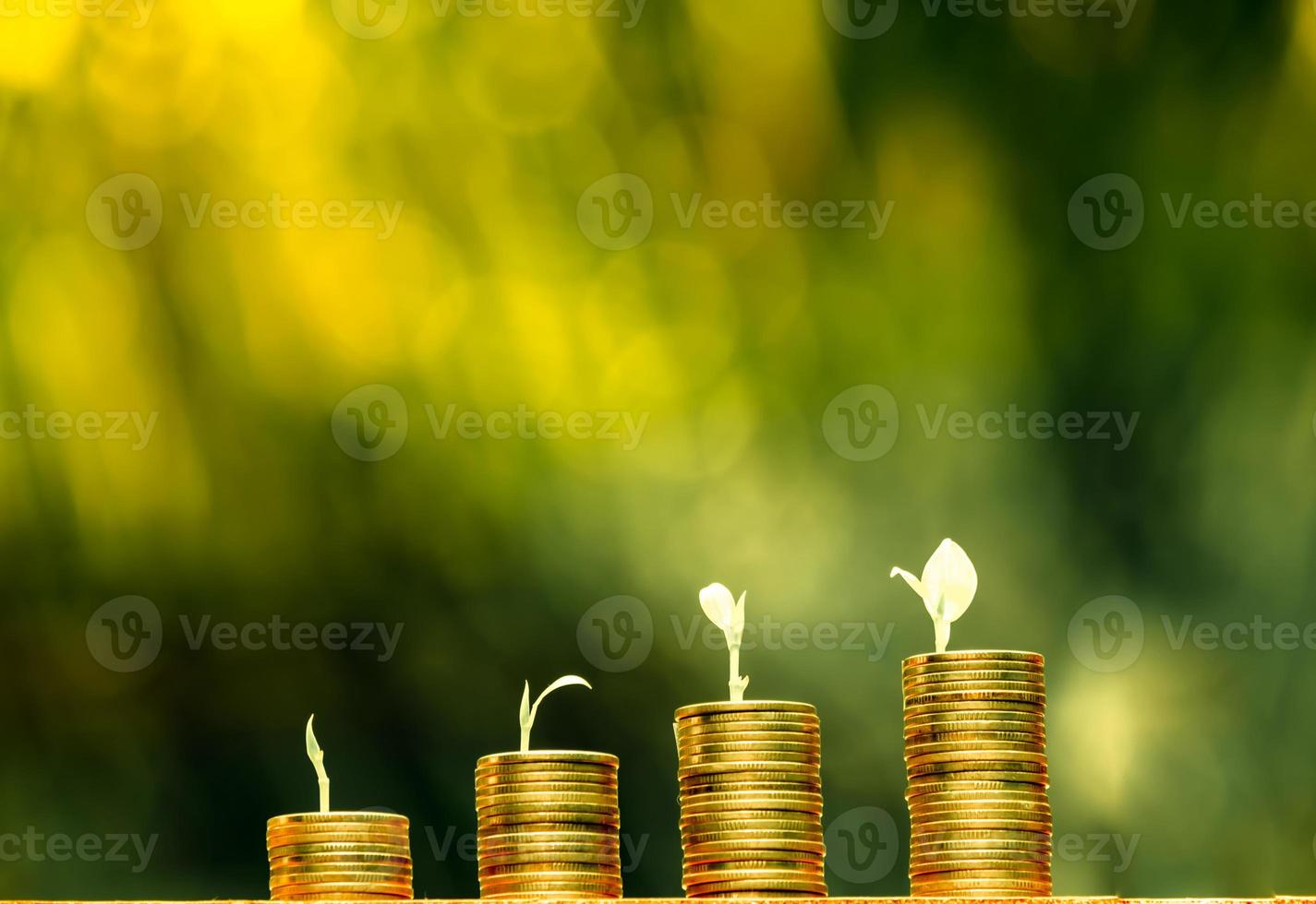 Business Finance and Money concept,Save money for prepare in the future.tree growing on coin of stacking gold coins with green bokeh background photo