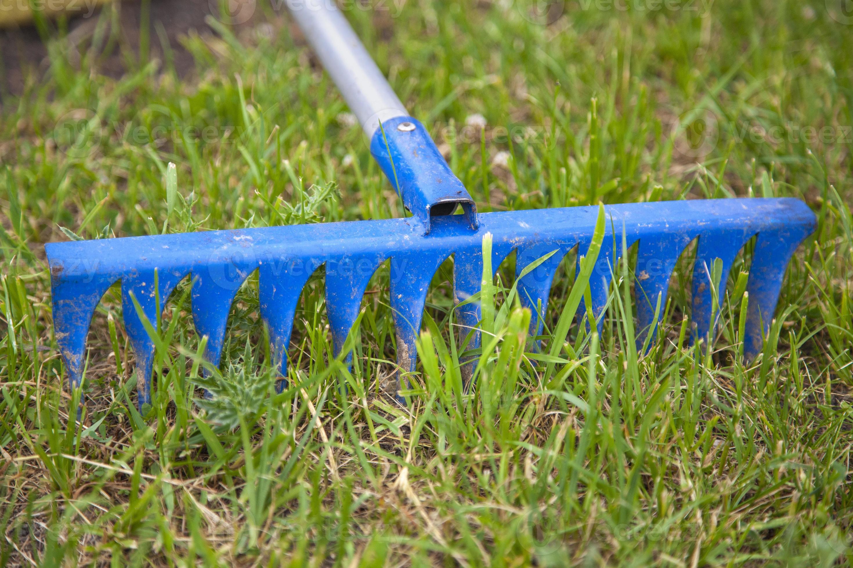 Rake in green grass. Gardener's tool is blue. Background is object in