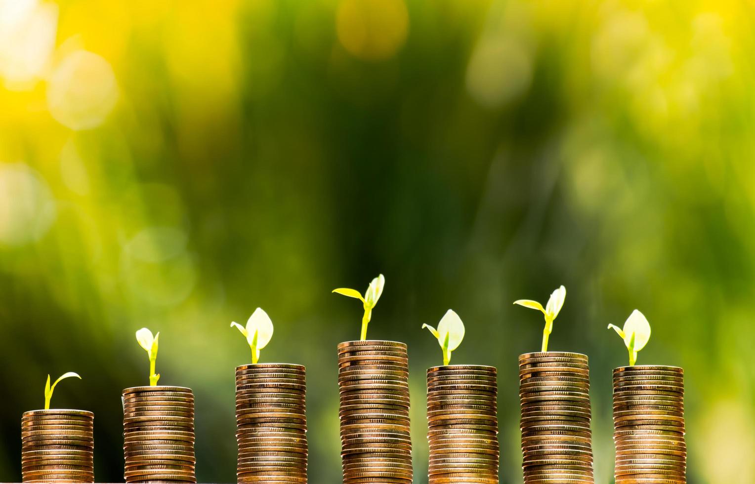 concepto de finanzas y dinero, árbol que crece en monedas de apilamiento de monedas de oro con fondo de bokek verde foto