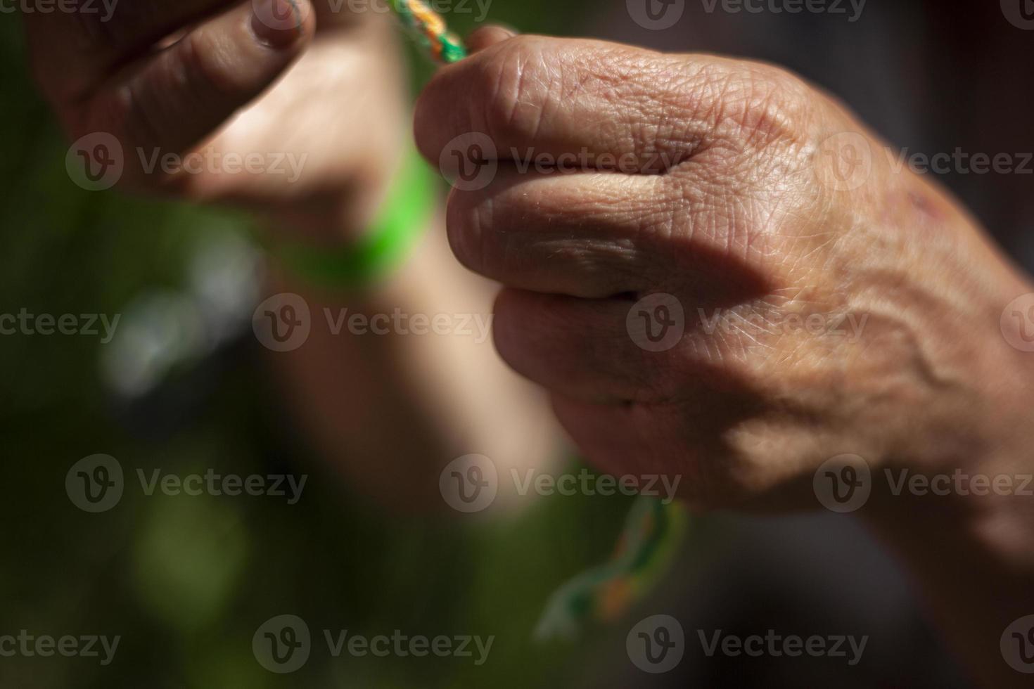 Elderly woman's hands in the sunlight photo