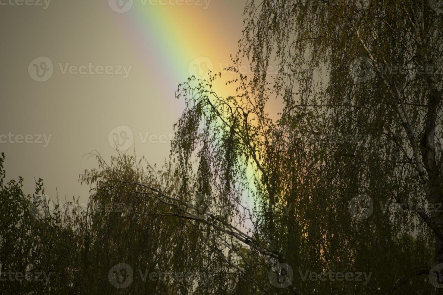 Rainbow in sky. Beautiful weather. Decomposition of light into colors. photo