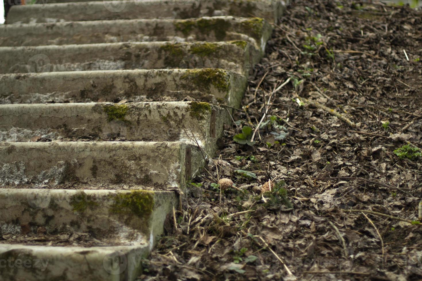 pasos en musgo. detalles de la arquitectura abandonada. foto