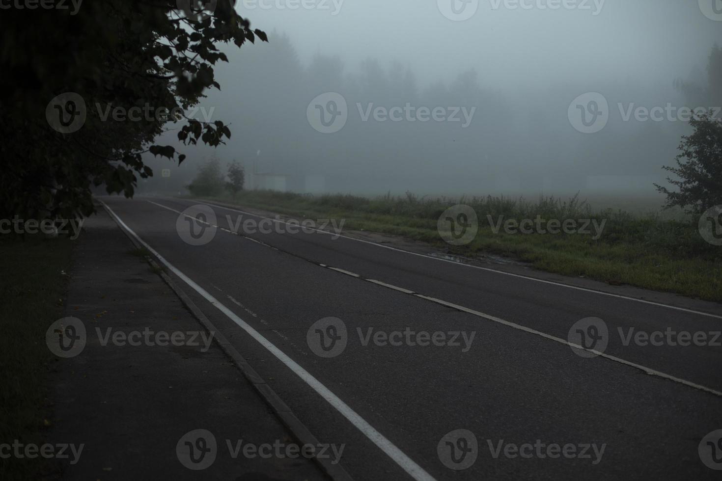 The road is in the fog. Highway without cars. photo