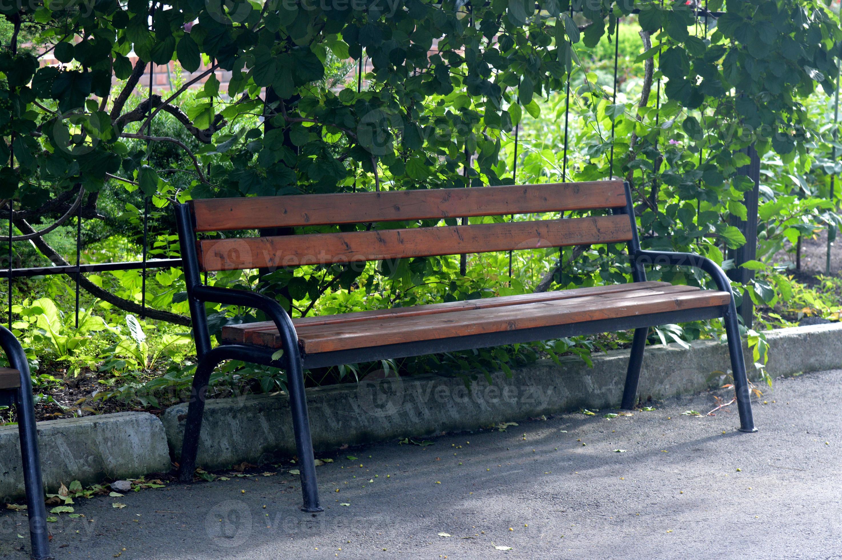 banco de madera marrón en el parque día soleado de verano hierba