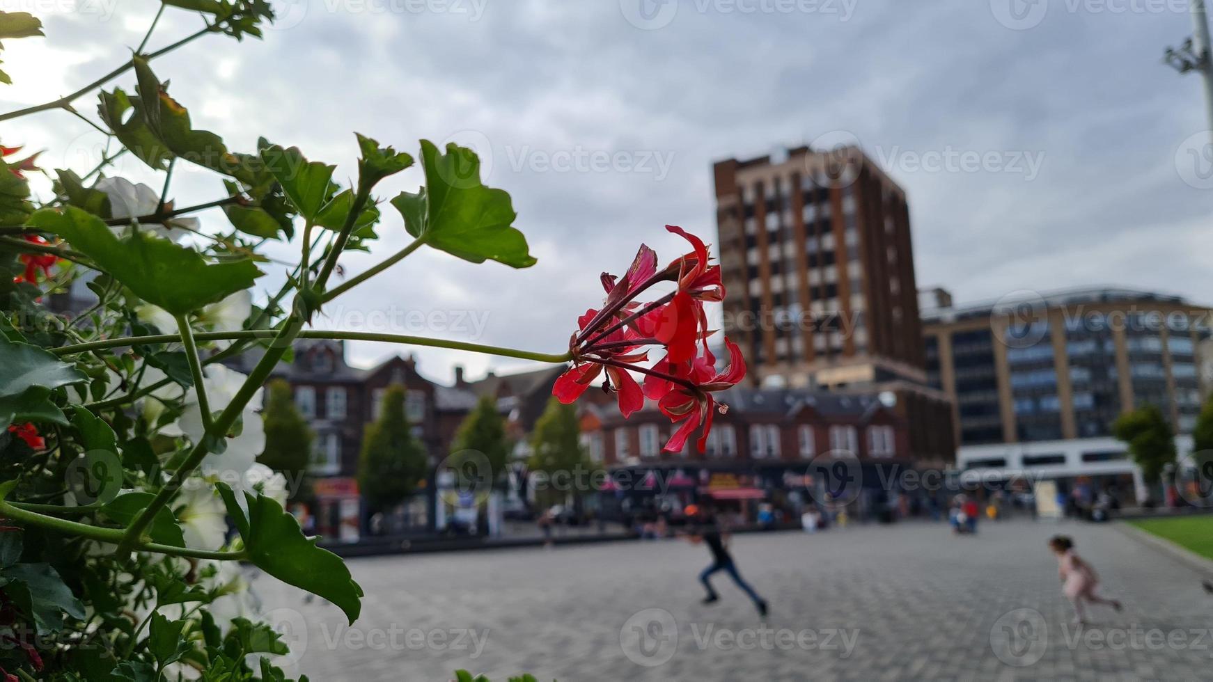 centro de la ciudad de luton y edificios locales, vista de ángulo alto del centro de la ciudad de luton y la estación de tren. luton inglaterra gran bretaña foto