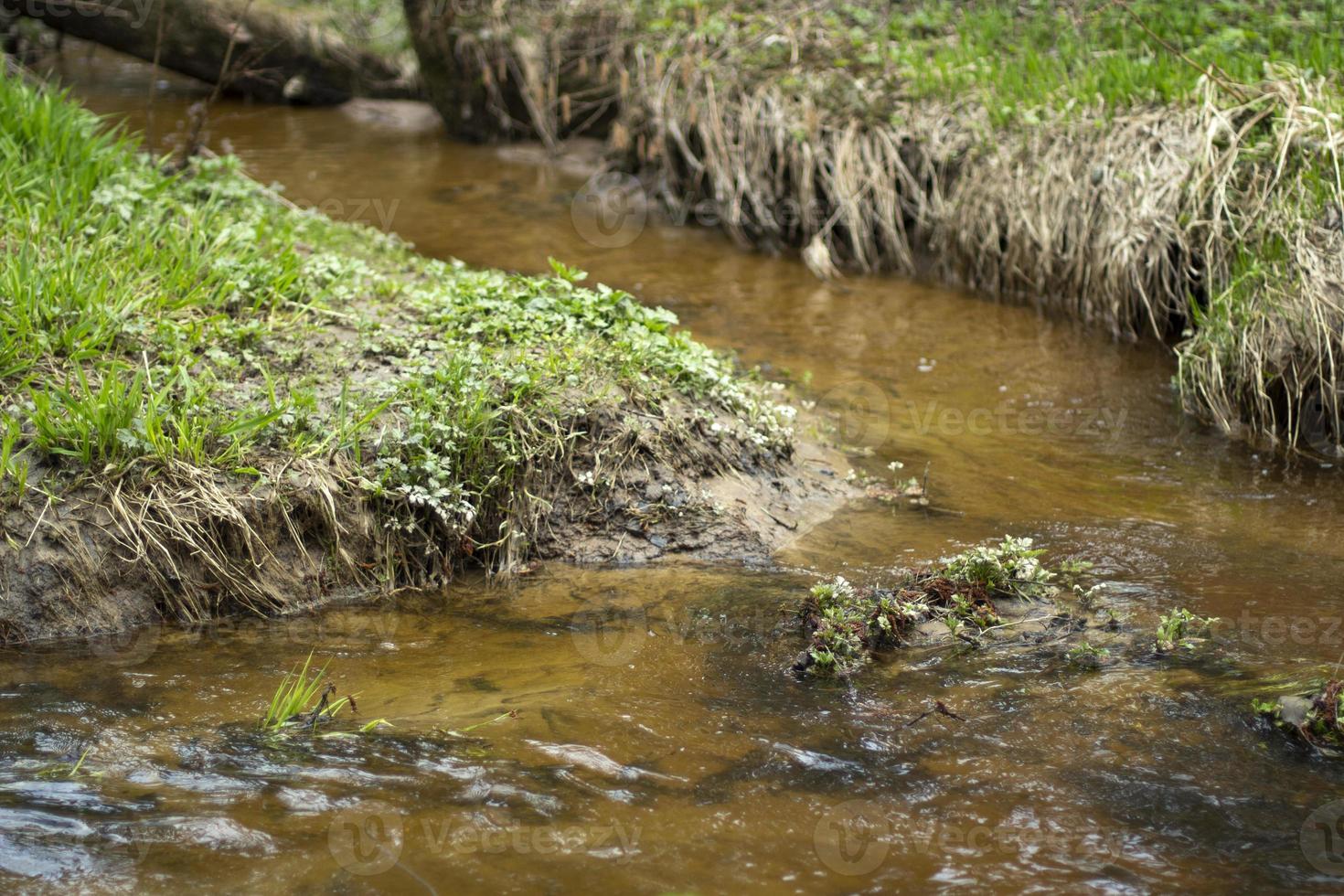A stream in the forest. Fresh water flows through a natural channel. photo