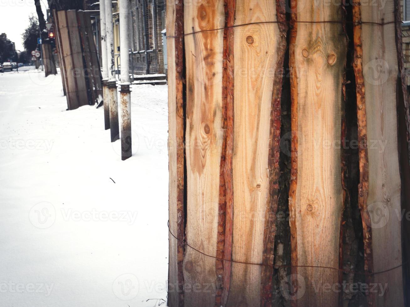 Wood boards placed around a tree trunk and secured with wire to protect it from damage during road construction in winter snow close up photo