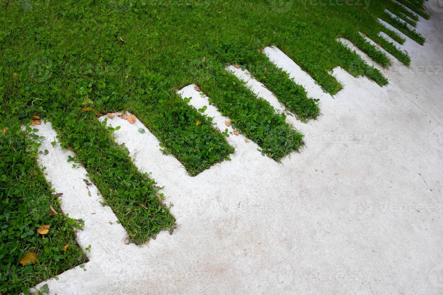 Green lawn and concrete zigzag path in the park photo