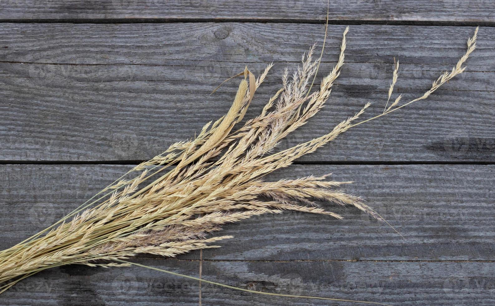 A bouquet of dry grass on an old wooden background. Monochrome minimalistic floral background with space to copy. Flat lay photo