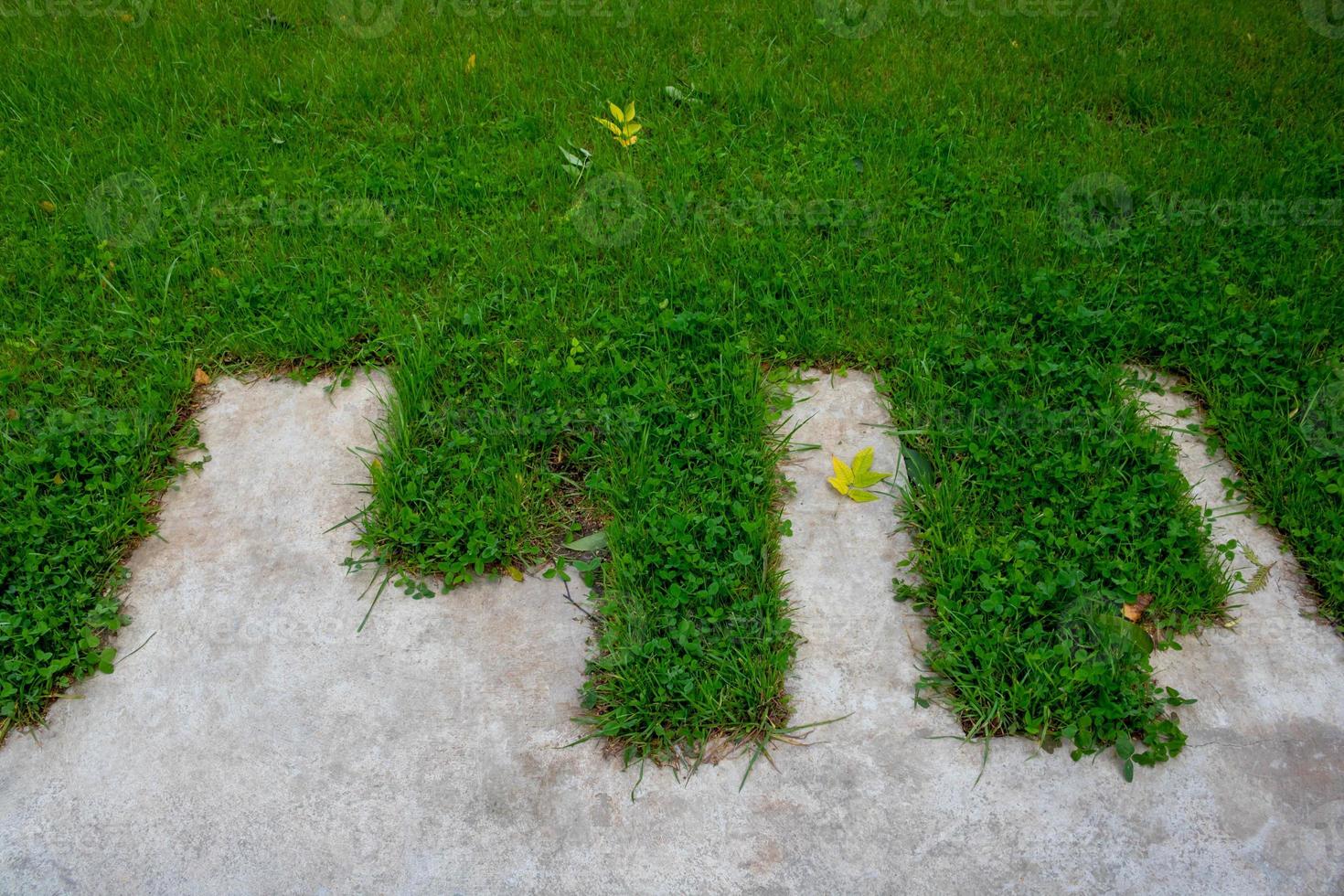 Green lawn and concrete zigzag path in the park photo