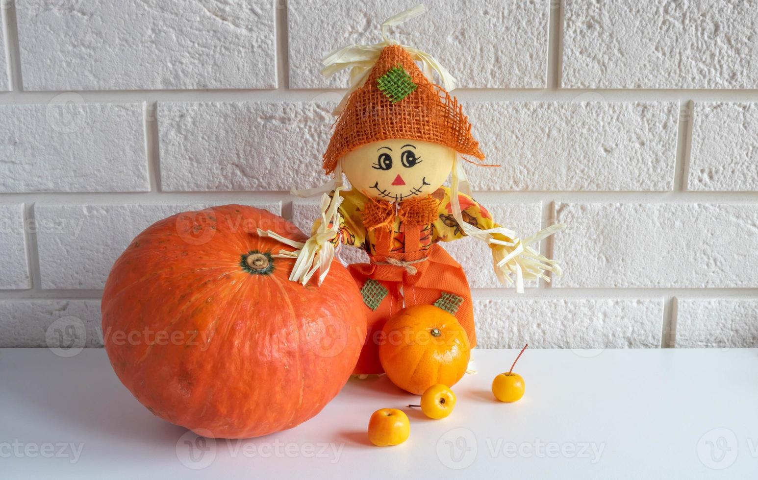 Scarecrow and pumpkin on a white background.Halloween and Thanksgiving Day Concept photo