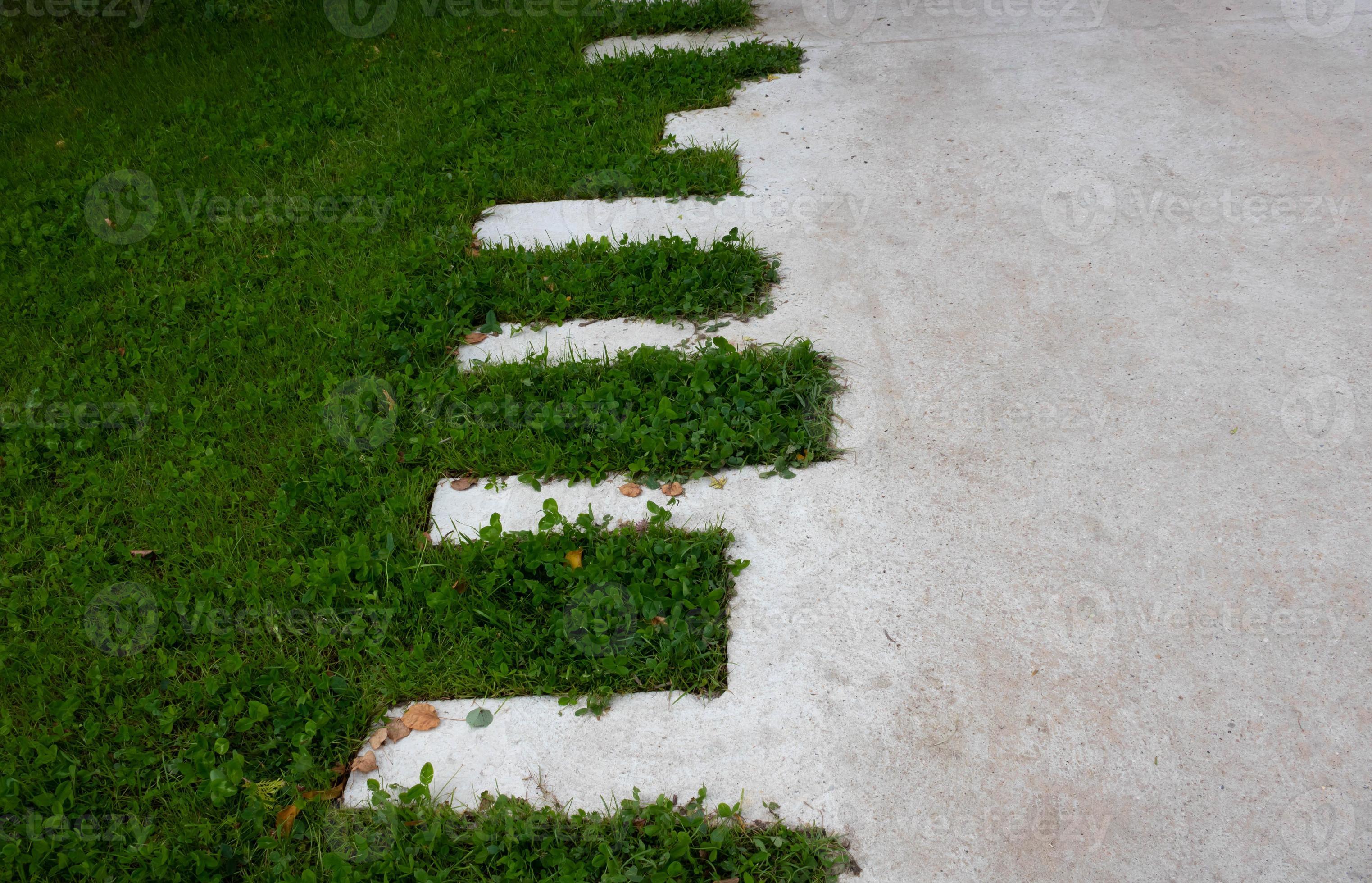 Green lawn and concrete zigzag path in the park 11350204 Stock Photo at