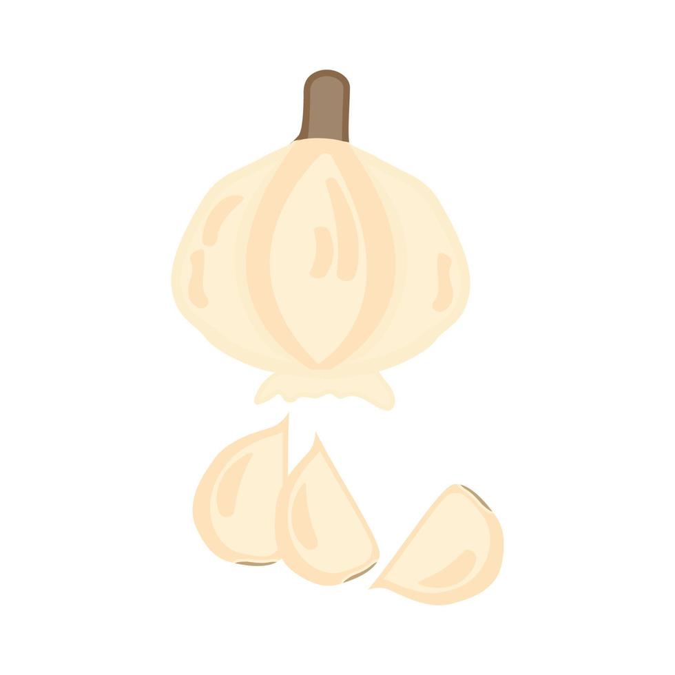 vector of garlic Isolated sliced garlic clove on a white background. illustration in vector format