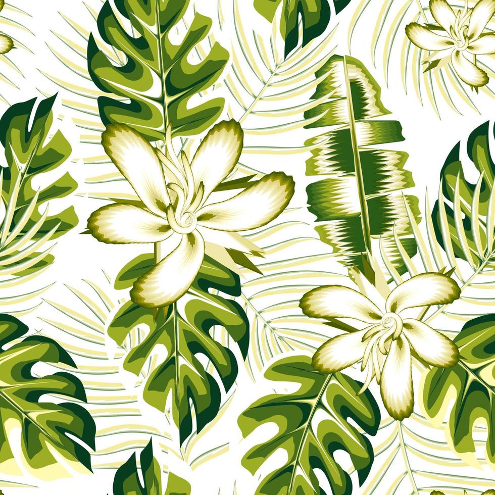 patrón sin costuras de plantas tropicales de verano verde con hojas de palma de plátano y follaje de plantas de monstera sobre fondo claro. dibujo de flores de hibisco verde. textura de moda. selva. fondo floral vector