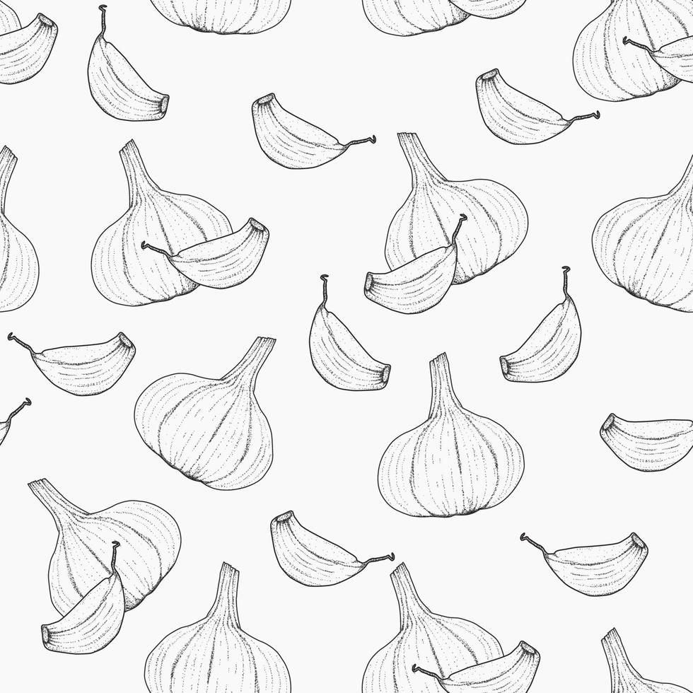 Hand drawn garlic Background Pattern Design vector
