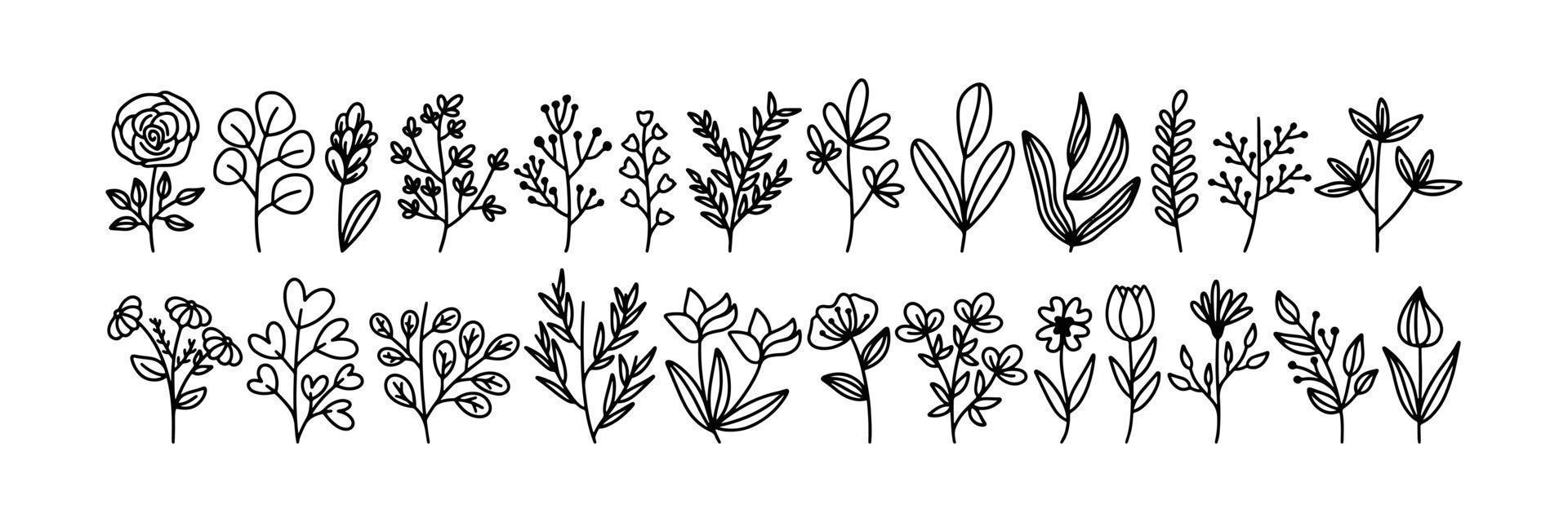 una colección de bocetos de plantas y flores vector