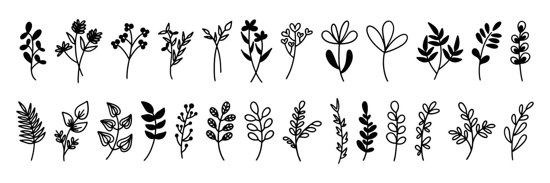 una colección de bocetos de plantas y flores vector