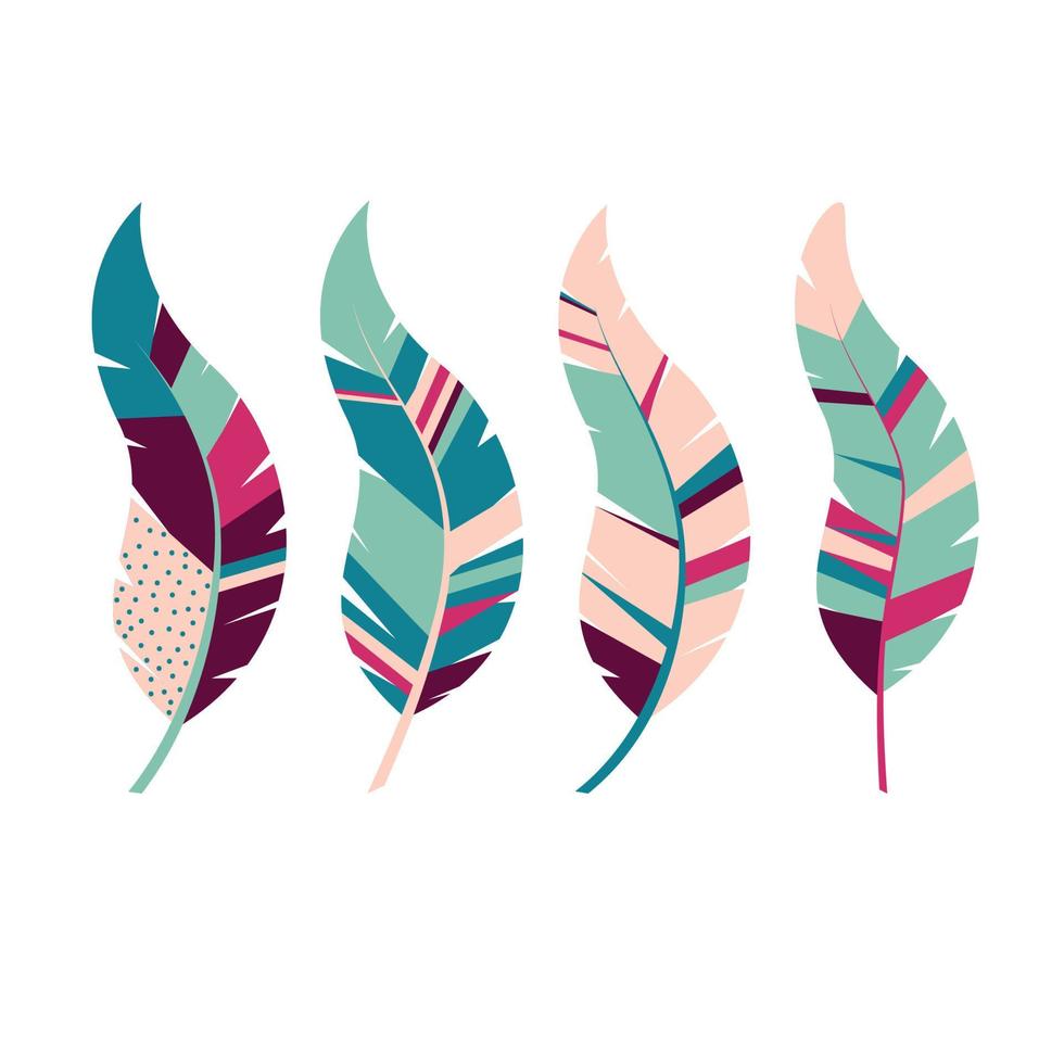 ornate feathers kit vector