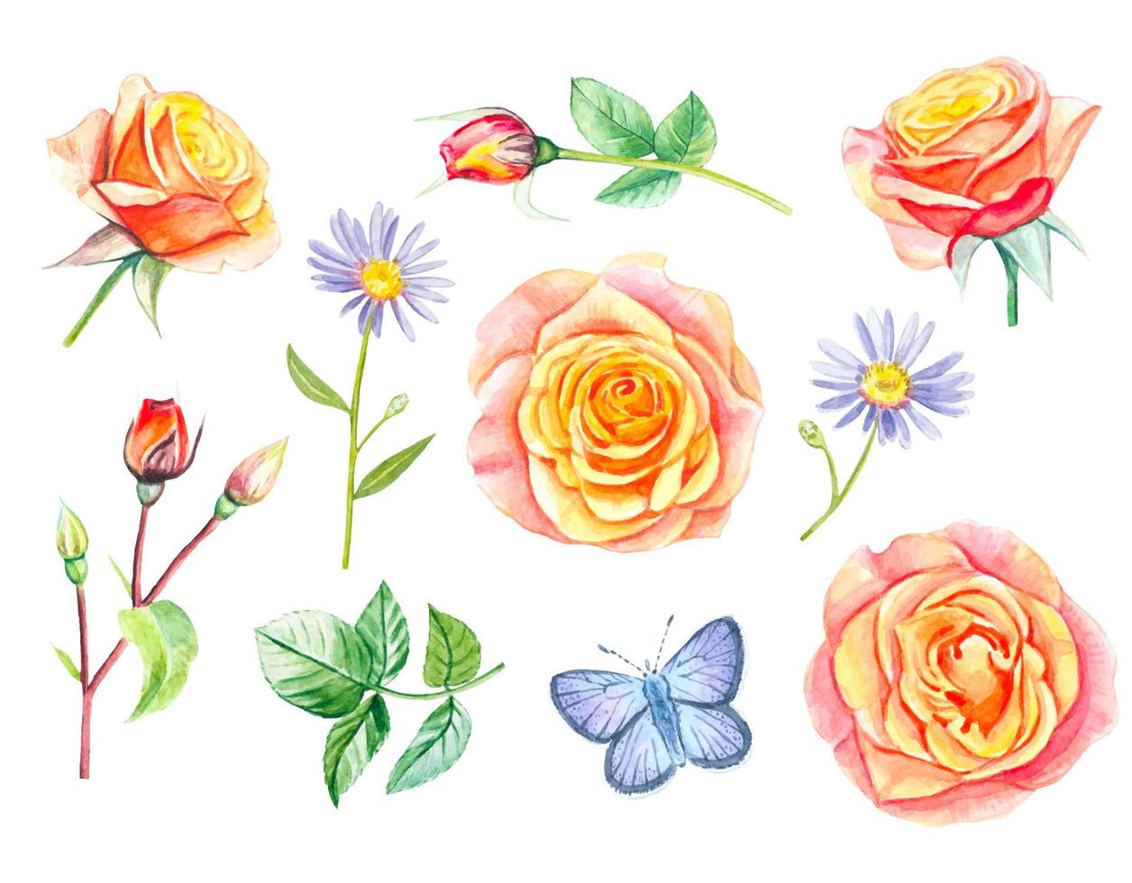 Collection of yellow roses  and leaves. hand drawn watercolor vector