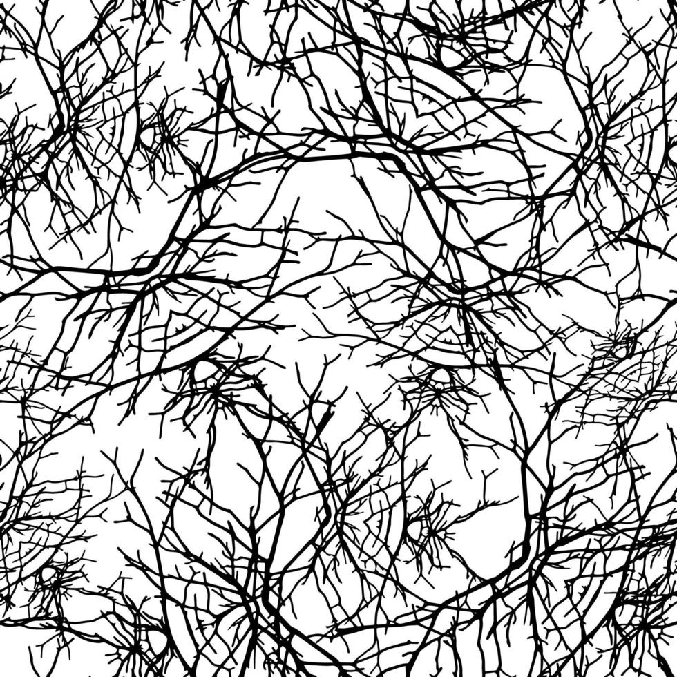 texture branches seamless pattern vector