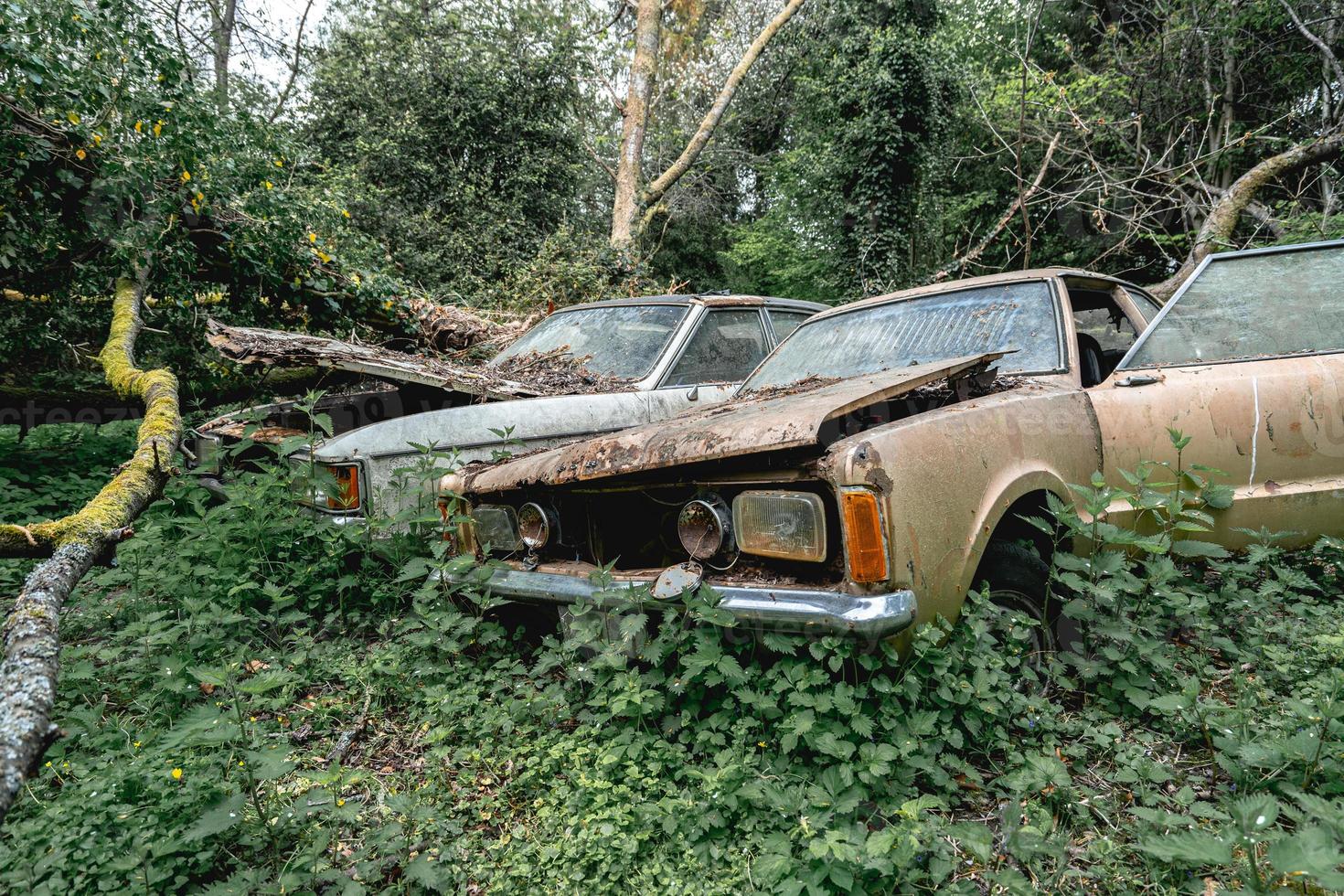 viejos autos ford abandonados tirados en el bosque en algún lugar de bélgica foto