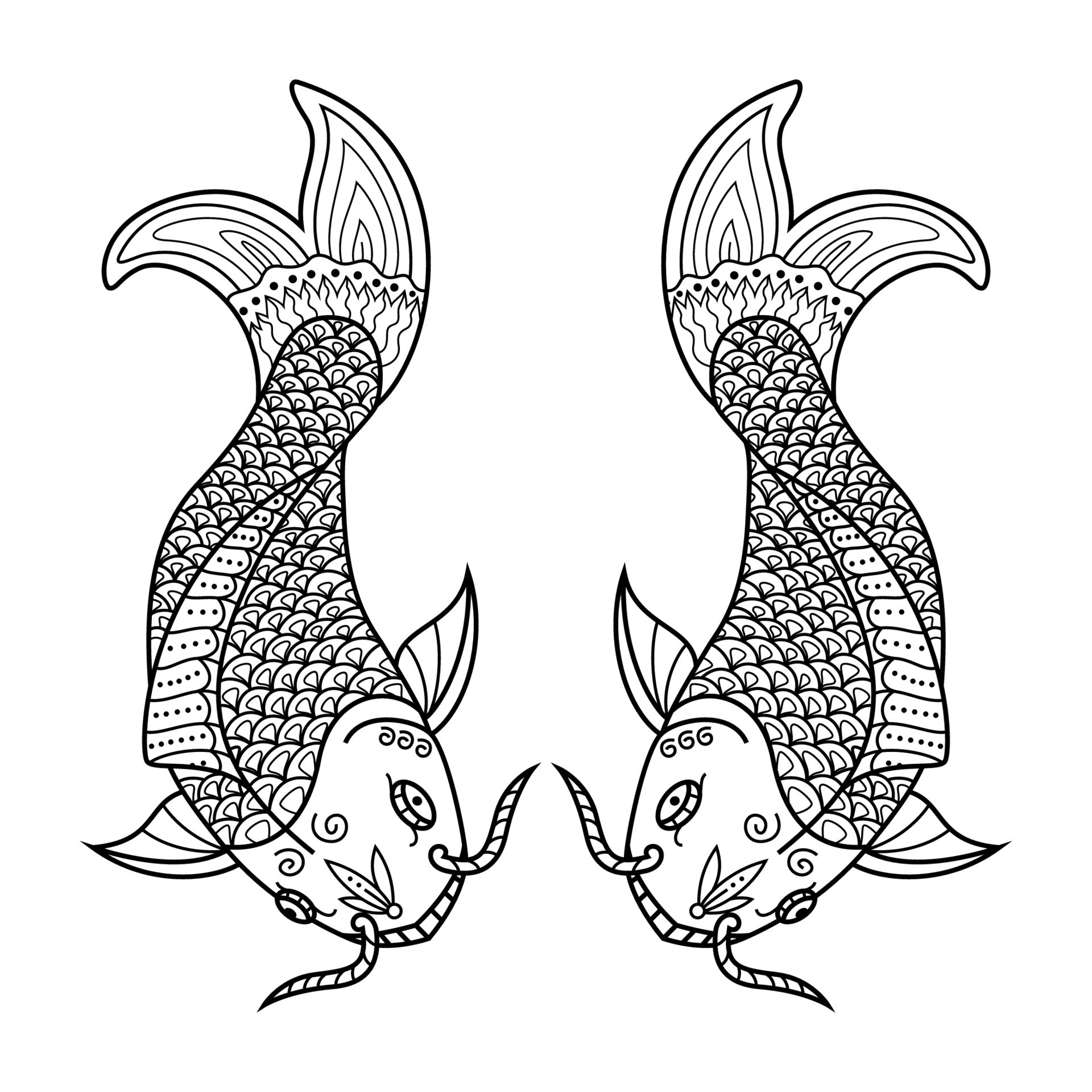 koi fish line art Koi fish line art vector. koi fish line art graphic design for the wall