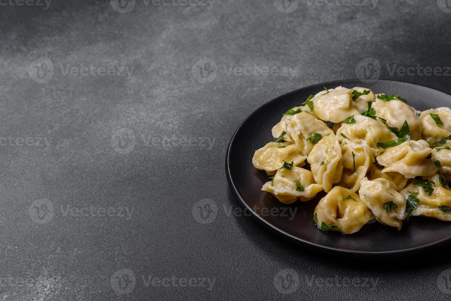 Delicious fresh dumplings with turkey meat, with spices and herbs photo