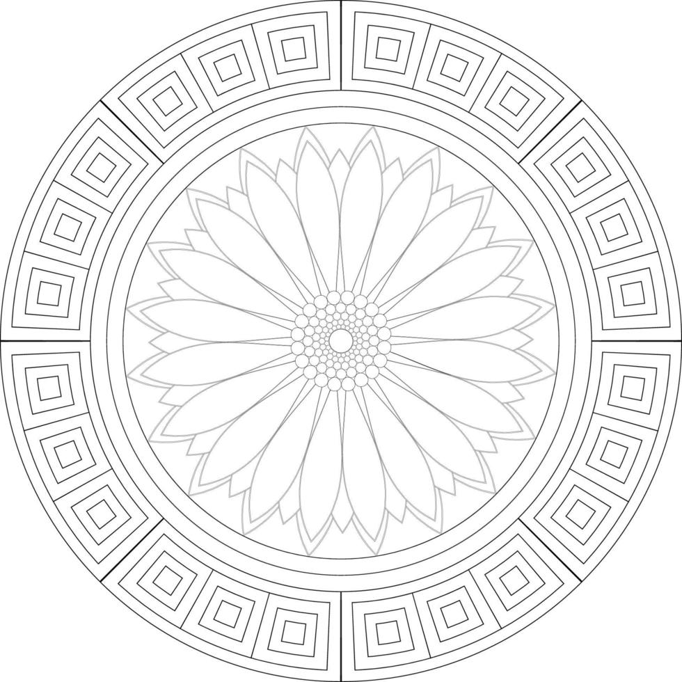 Mandala coloring pages vector