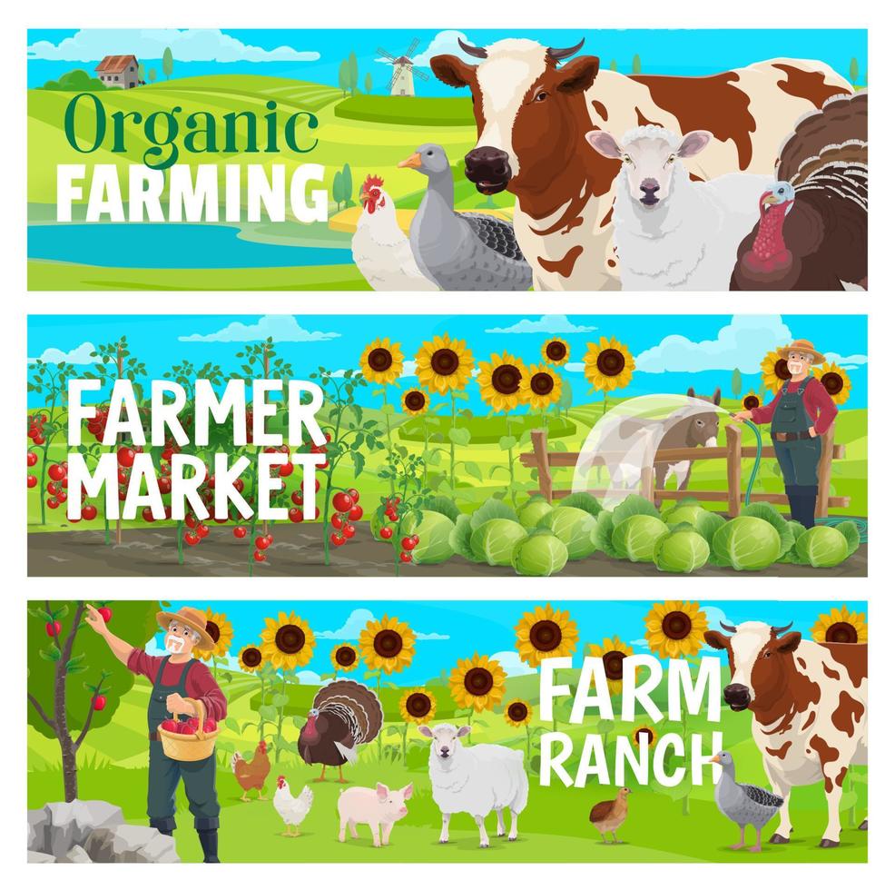 Organic farm and market, animals, orchard, veggies vector