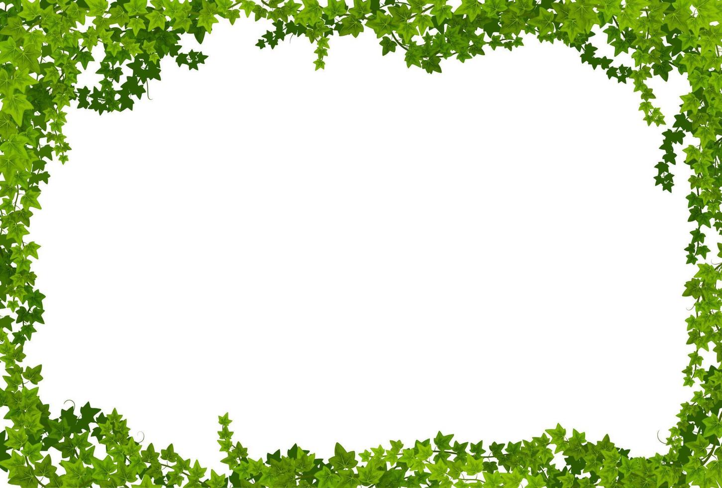 marco de lianas de hiedra con bordes de vector de hojas verdes