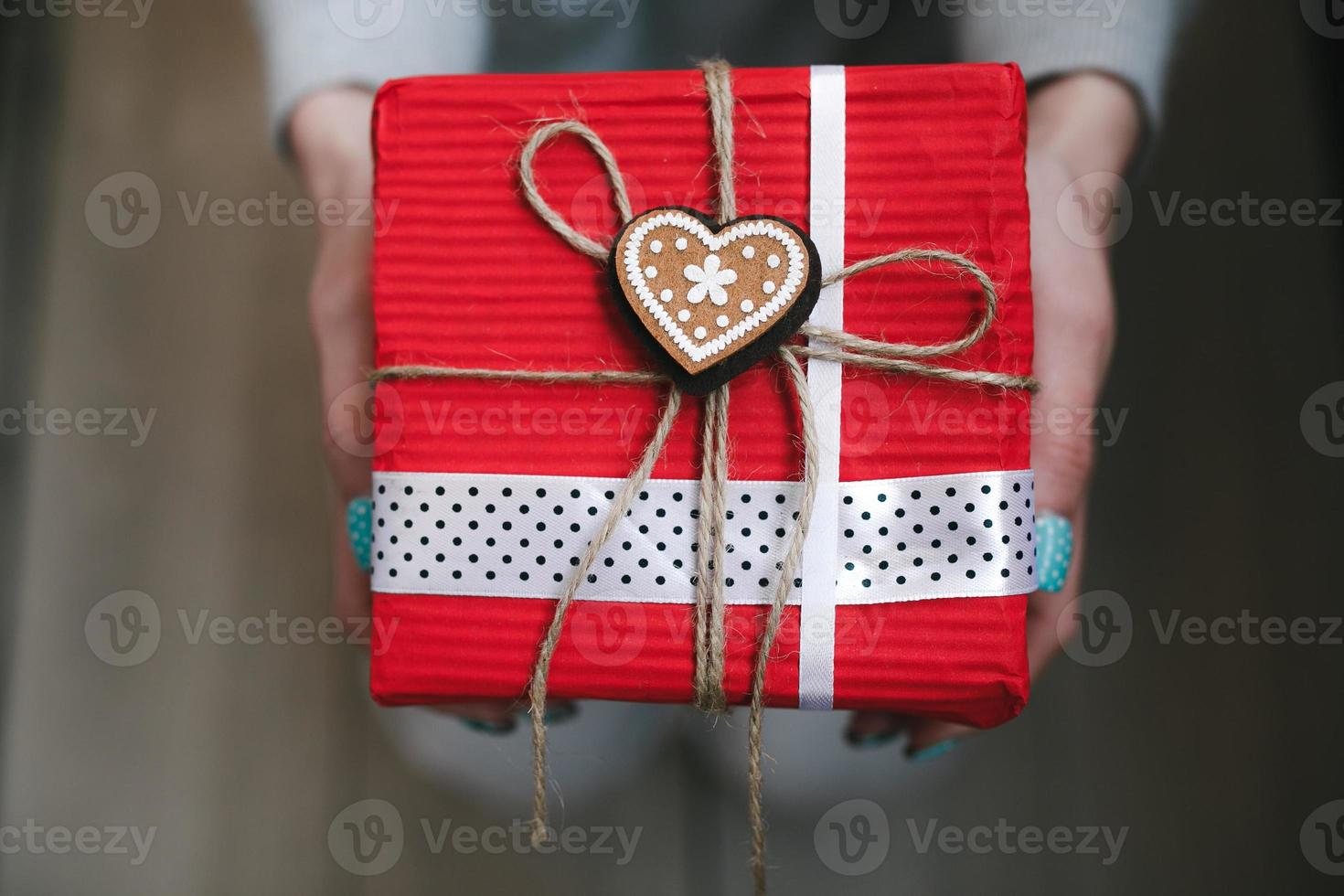 The girl holds in hands charming gift for her loved one photo