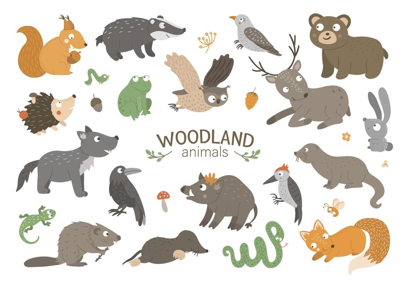 Set of vector hand drawn flat woodland animals. Funny animalistic collection. Cute forest illustration for children design, print, stationery
