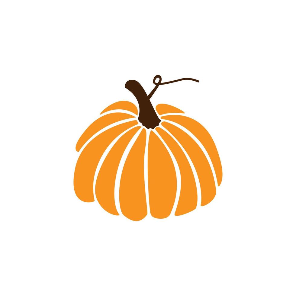 calabaza naranja dibujada a mano. calabaza vectorial para halloween o diseño de acción de gracias. contorno. vector