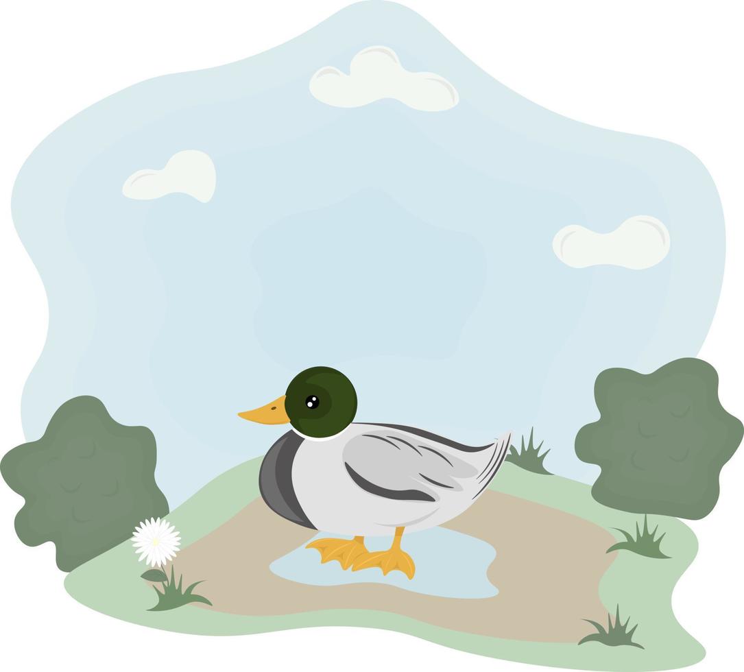duck illustration in the meadow vector