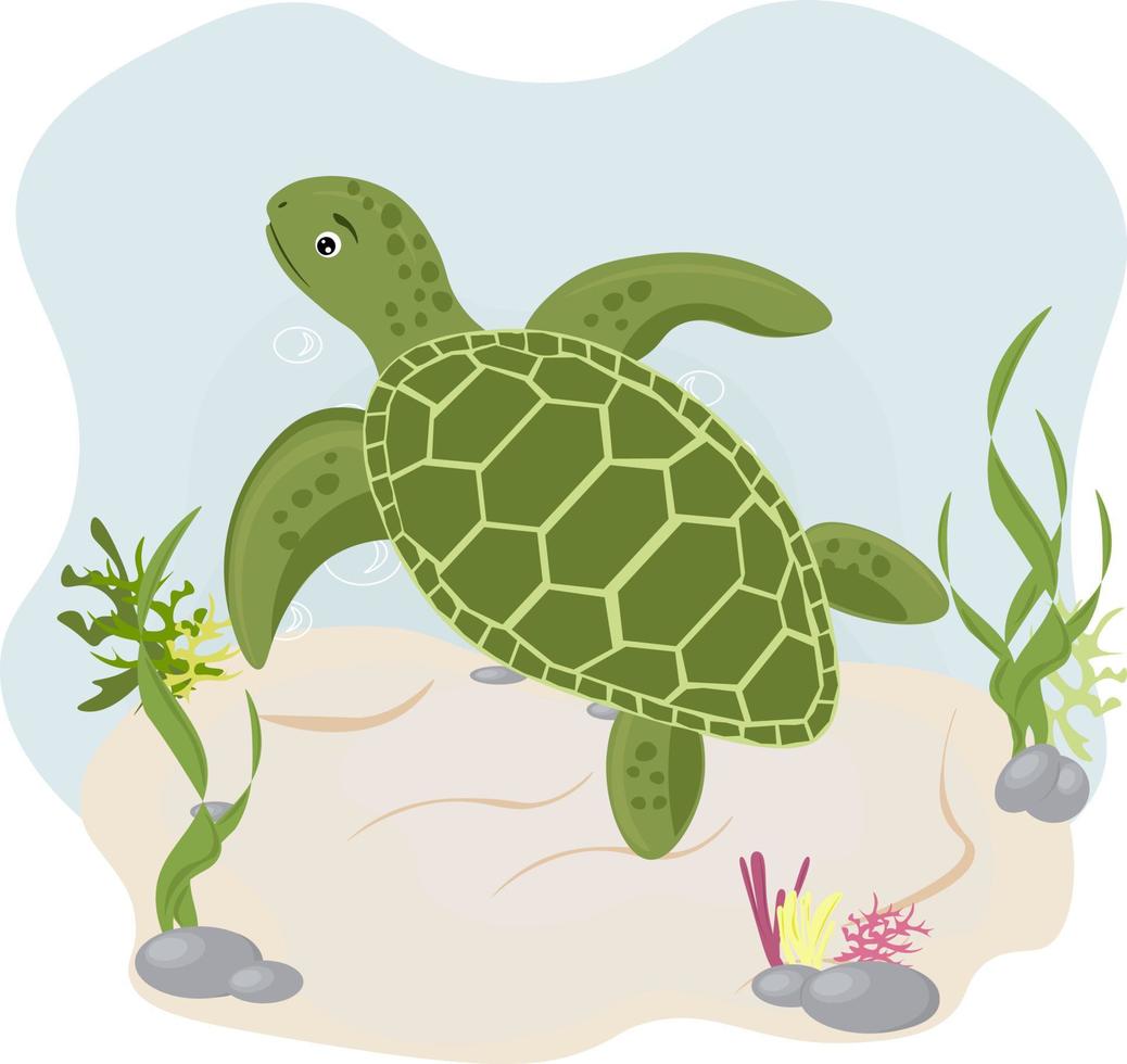 turtle on the water vector