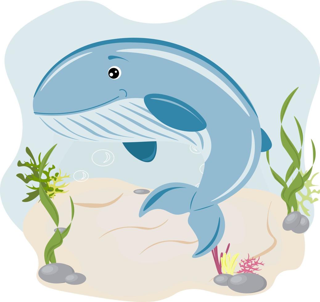 whale in the sea vector
