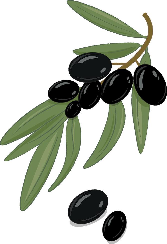 aceitunas negras con hoja vector