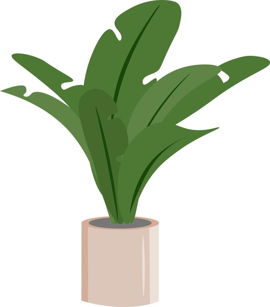 plant in a pot vector