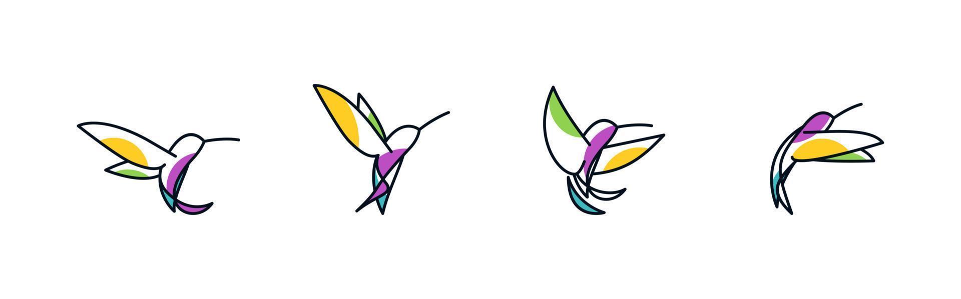 Colibri bird 4 combinations with color. line abstract vector