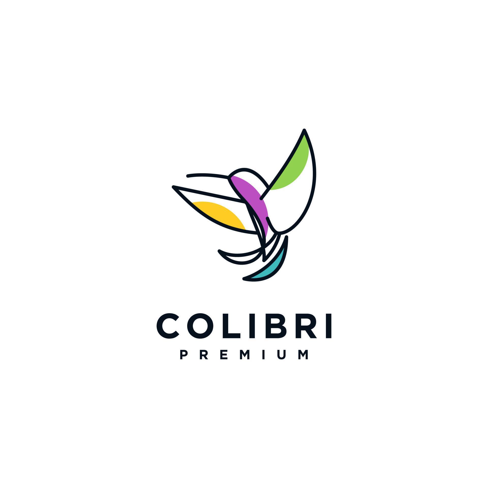 Colibri bird logo concept design, abstract hummingbird vector