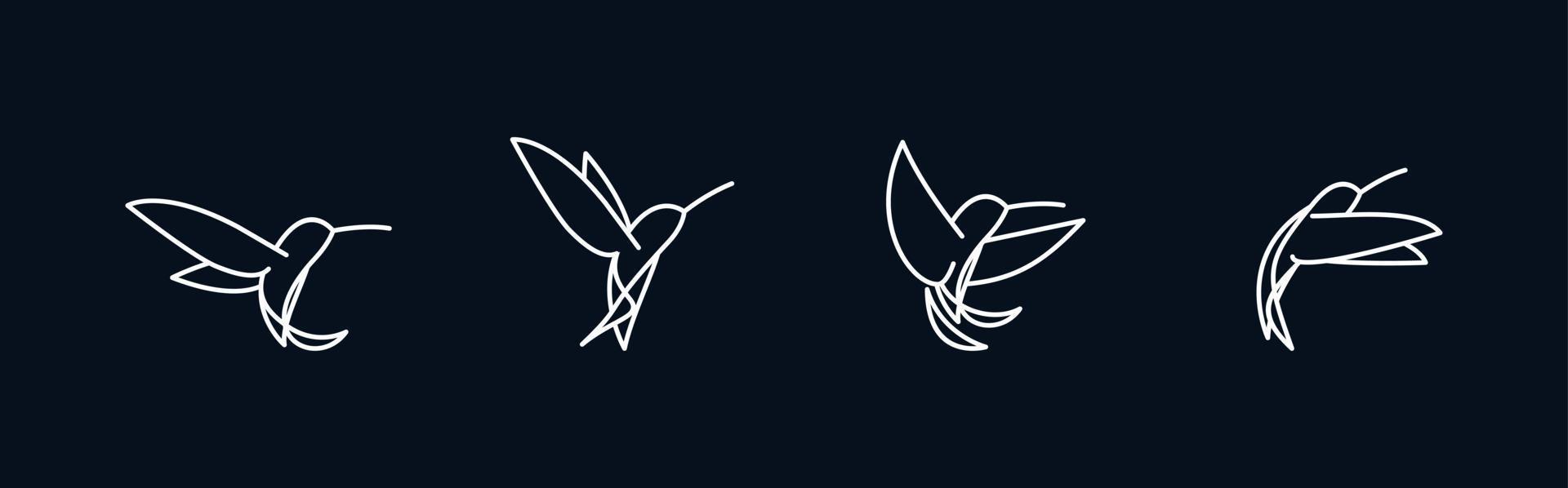 Colibri bird 4 combinations. line abstract hummingbird vector