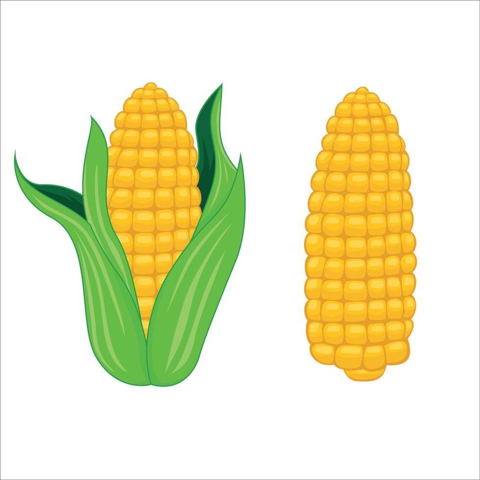 ilustración vectorial de maíz. signo y símbolo de alimentos agrícolas. vector
