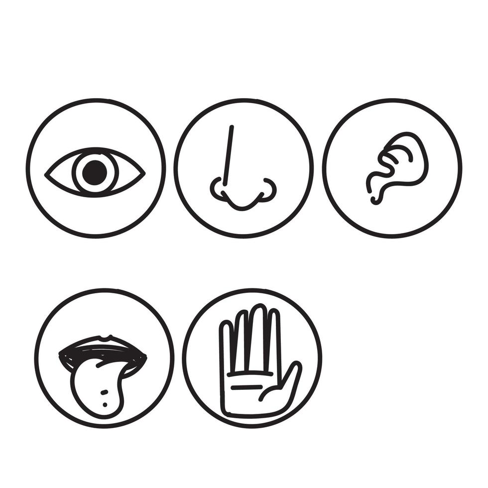 hand drawn doodle Five senses vector icon illustration set 11357672 ...