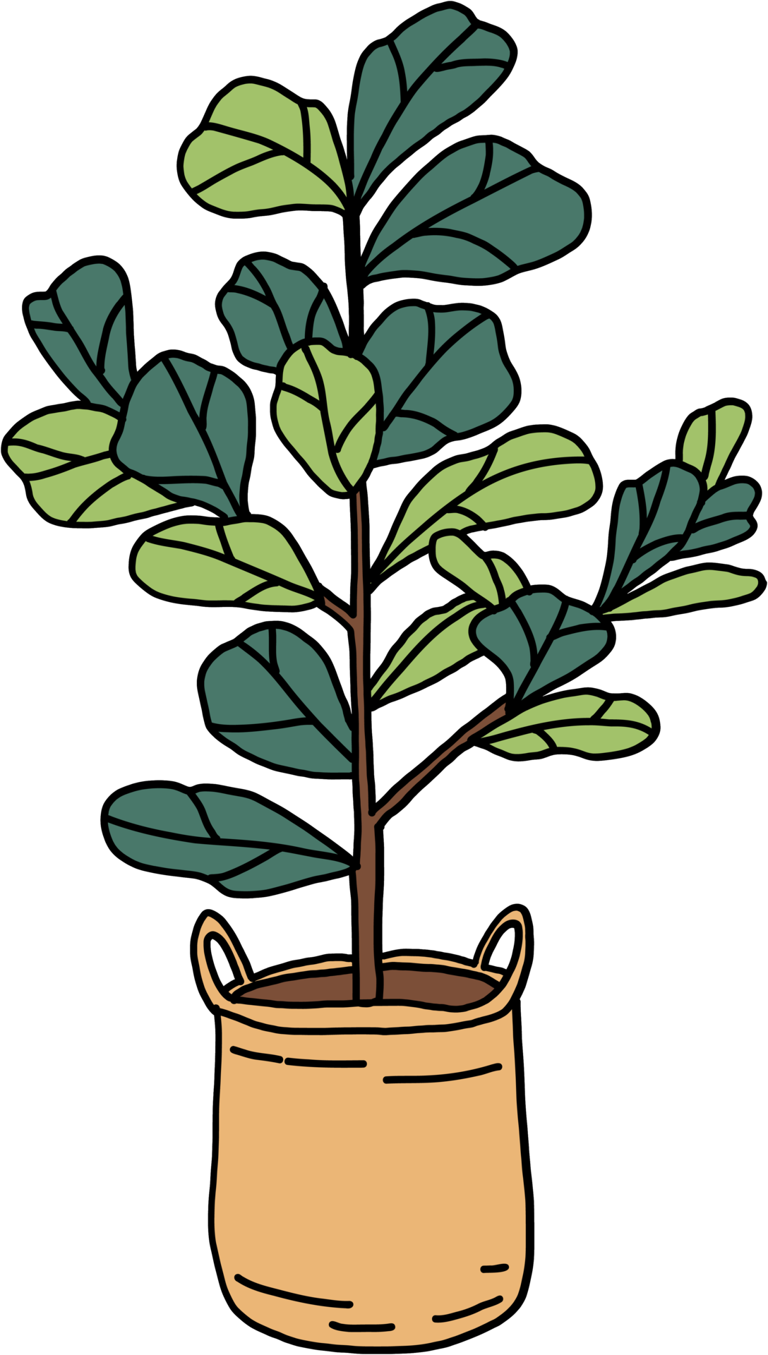 House Plant PNG Free Images with Transparent Background - (2,858 Free  Downloads)