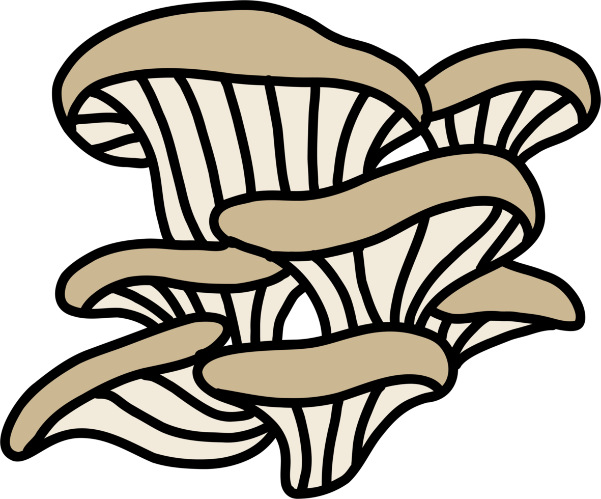doodle freehand sketch drawing of oyster mushroom vegetable. png