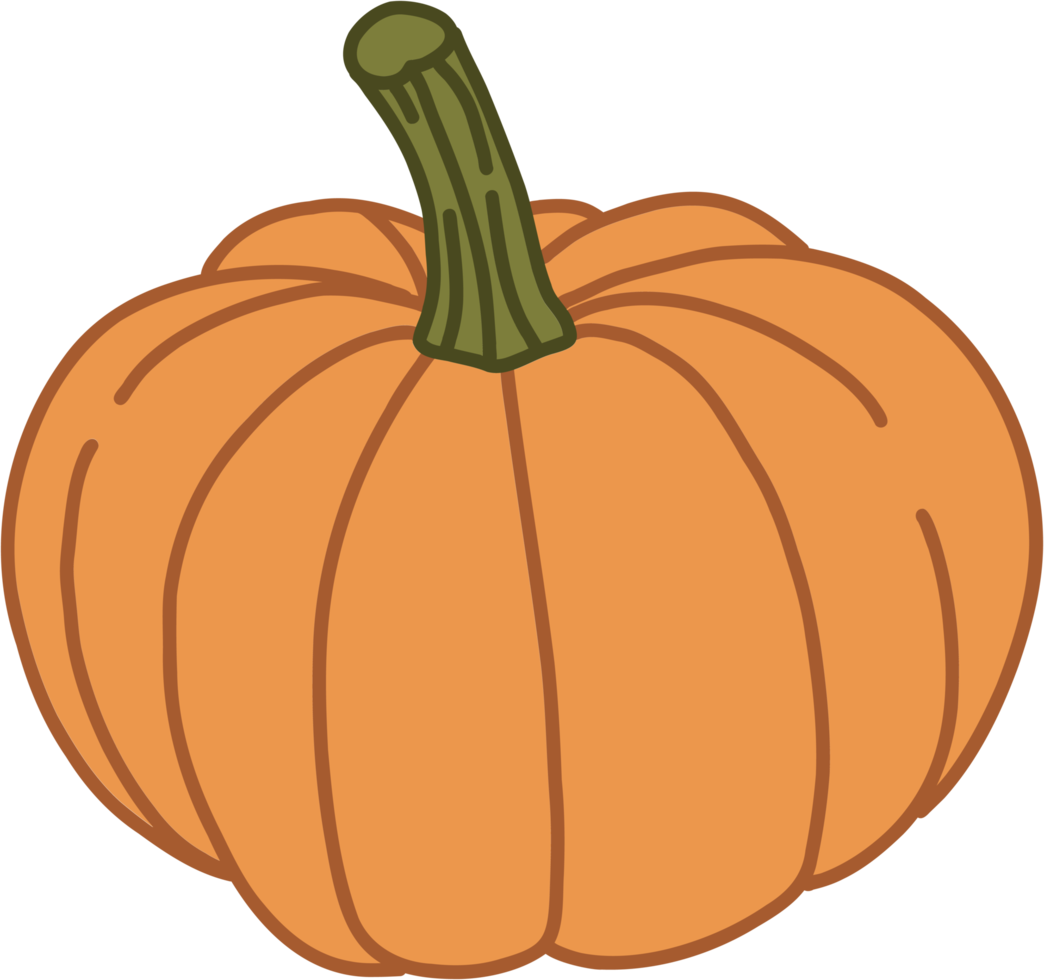 doodle freehand sketch drawing of pimpkin vegetable. png