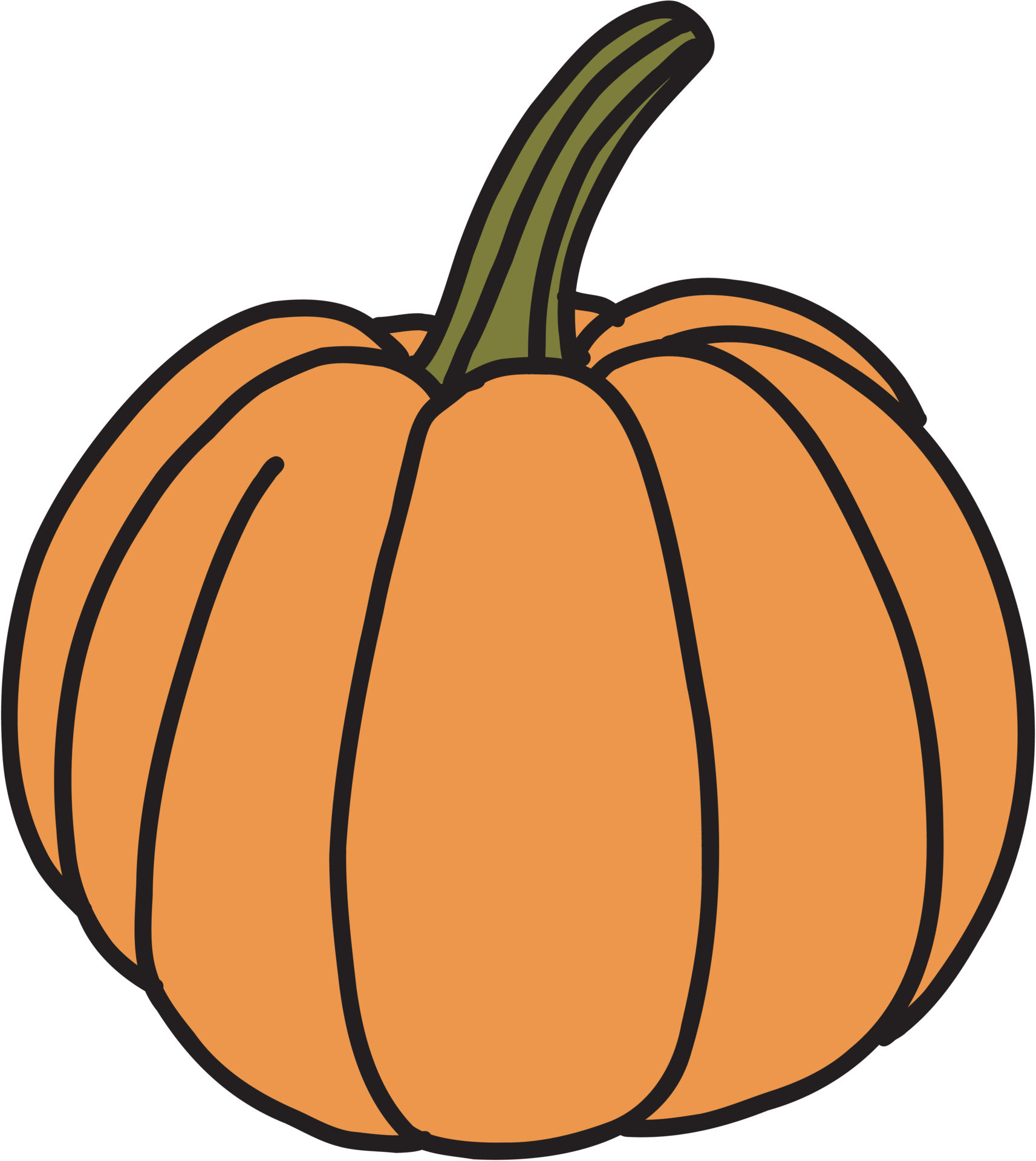 doodle freehand sketch drawing of pimpkin vegetable. 11357925 PNG