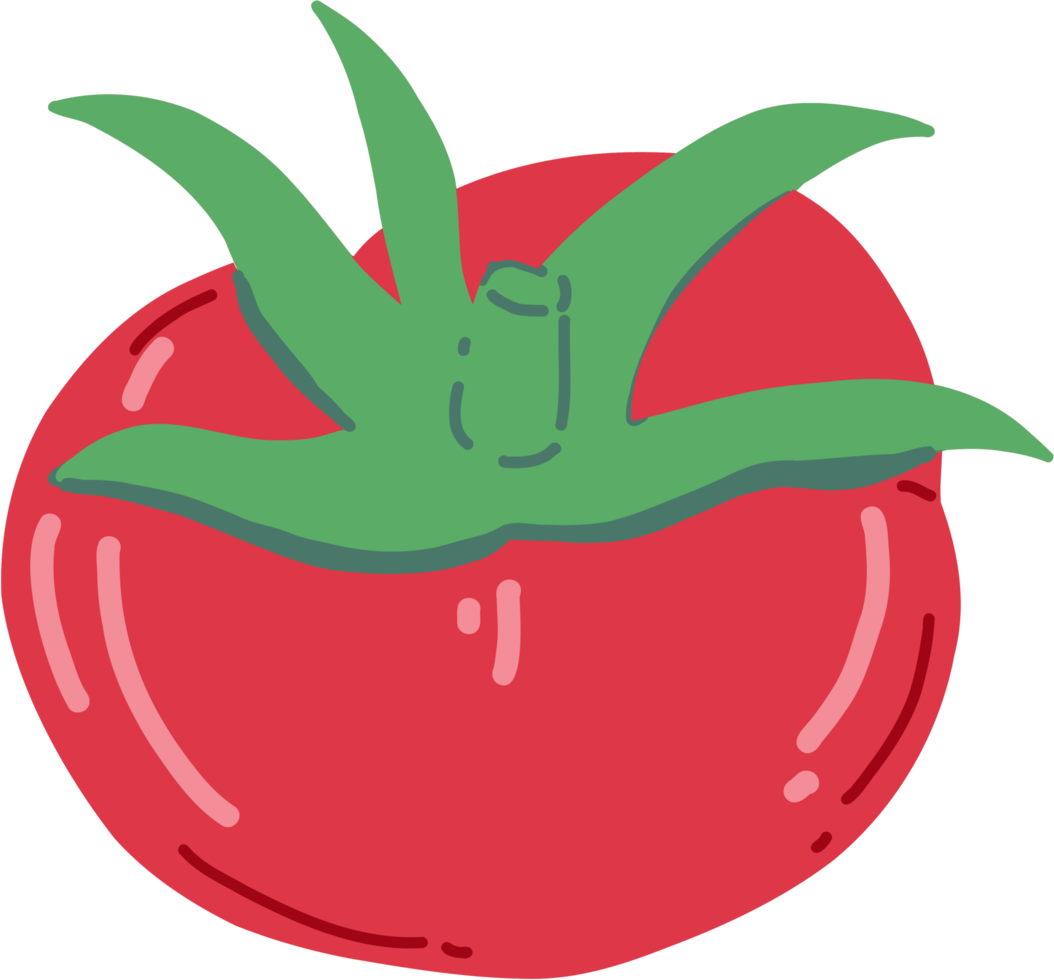 doodle freehand sketch drawing of tomato vegetable. png