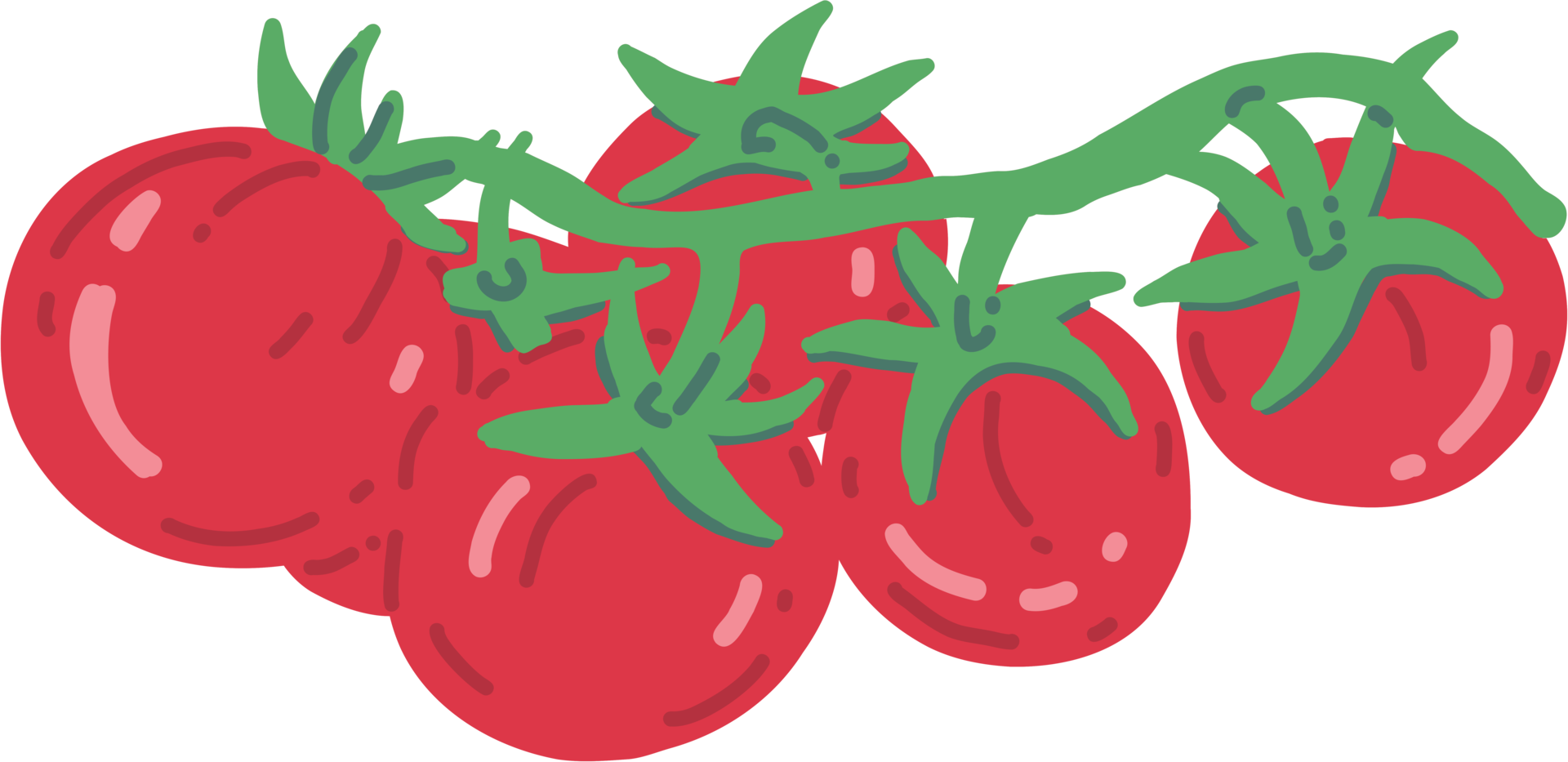 doodle frihand skissritning av tomatgrönsak. png