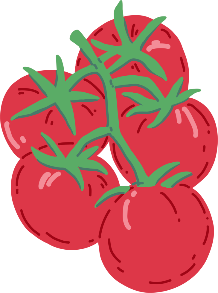 Doodle dibujo a mano alzada de vegetales de tomate. png